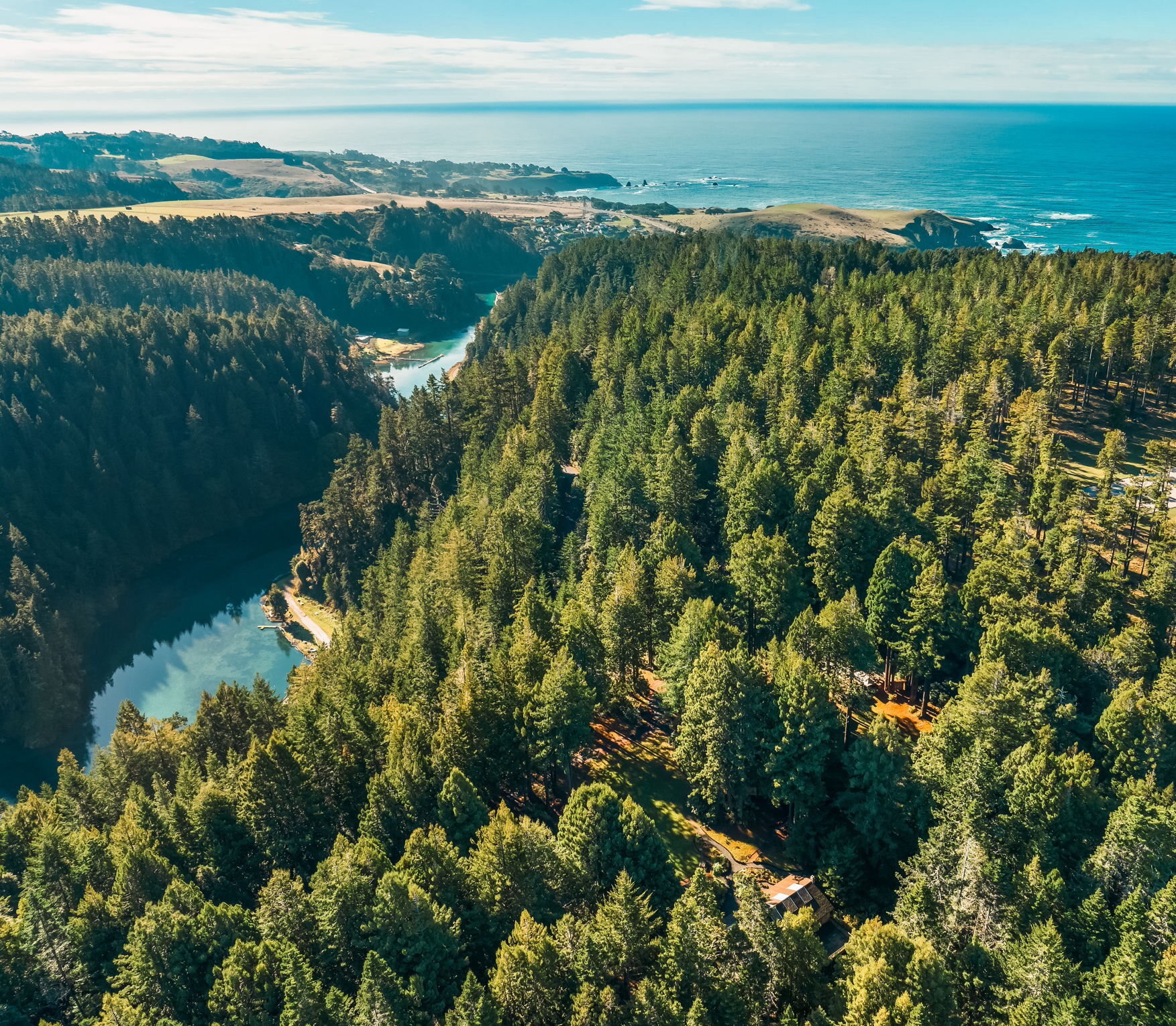 Aerial view of Spirit Camp's redwood forest meeting the Pacific coast in Mendocino.
