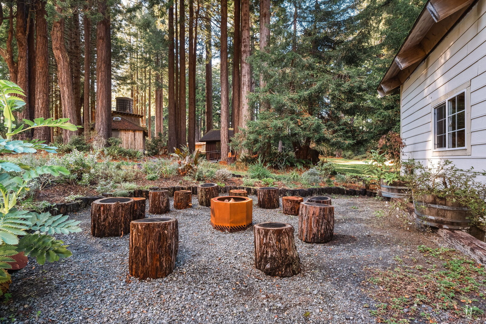 The campfire ring at Spirit Camp — redwood stump seats arranged around a copper firepit in the forest.